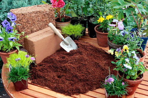 Coco Peat & Husk Chips Briquettes