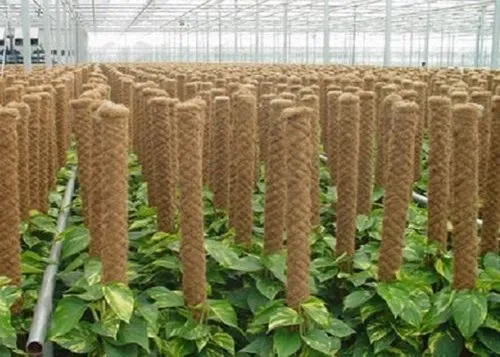Coco Poles